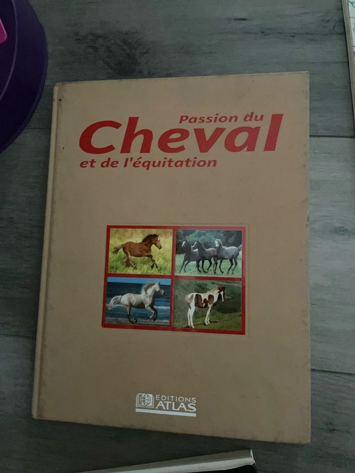 Lot de beaux livres pour passionnés de cheval chevaux équitation - photo numéro 9