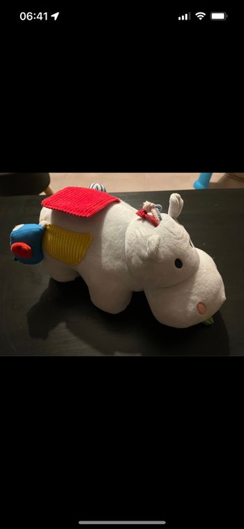 Jeux d’activités hippopotame