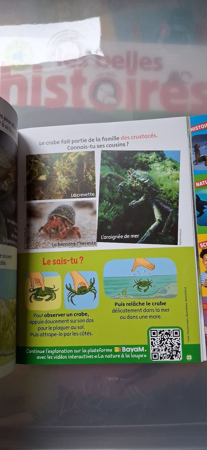 Youpi doc - photo numéro 2