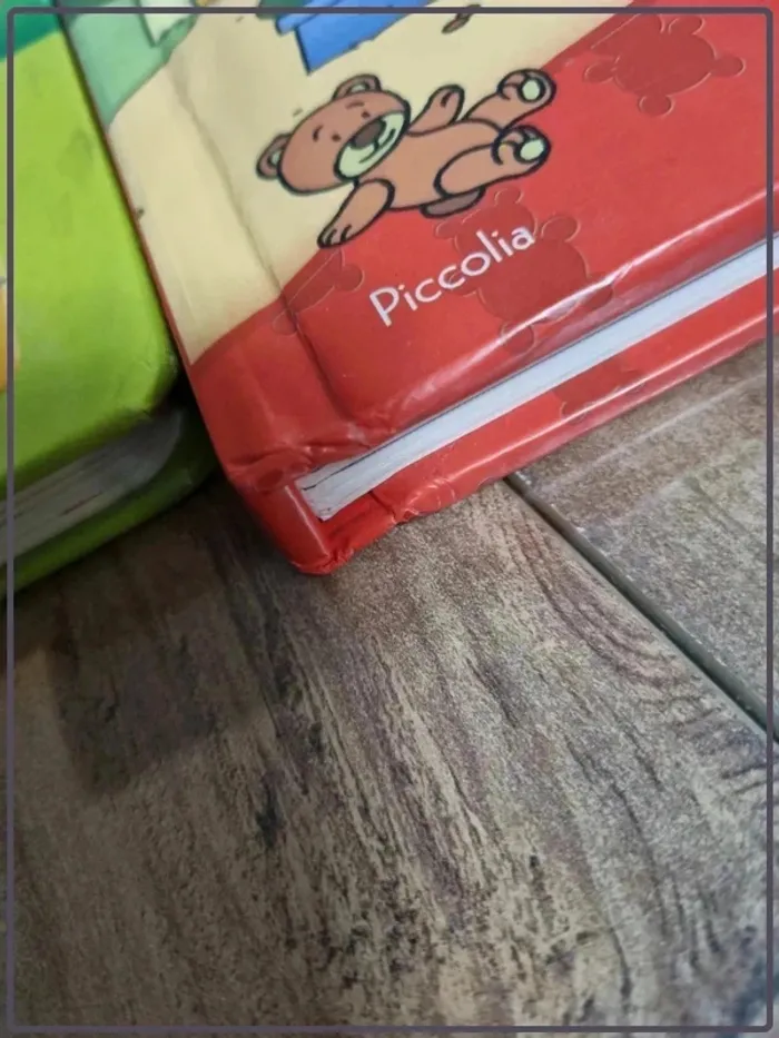 Lot de deux livres avec volet à soulever - photo numéro 10