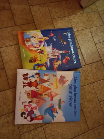 Lot de 2 beaux livres de contes 📚