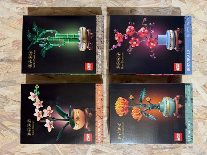 Pack LEGO Botanicals - 10343 / 10344 / 10368 / 10369 - Neufs et scellés - photo numéro 2