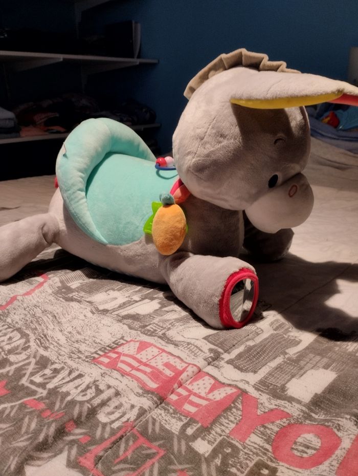 L'âne Titus multi activités