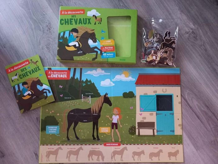 Jeu 'A la découverte des chevaux' - photo numéro 3