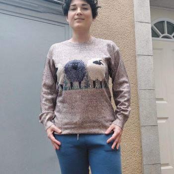 Magnifique pull motif moutons