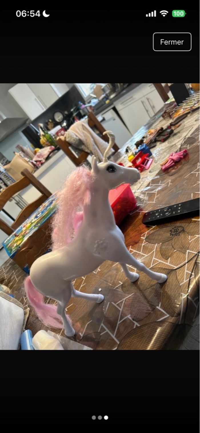 Licorne - photo numéro 3