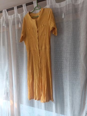 Robe jaune berger du nord