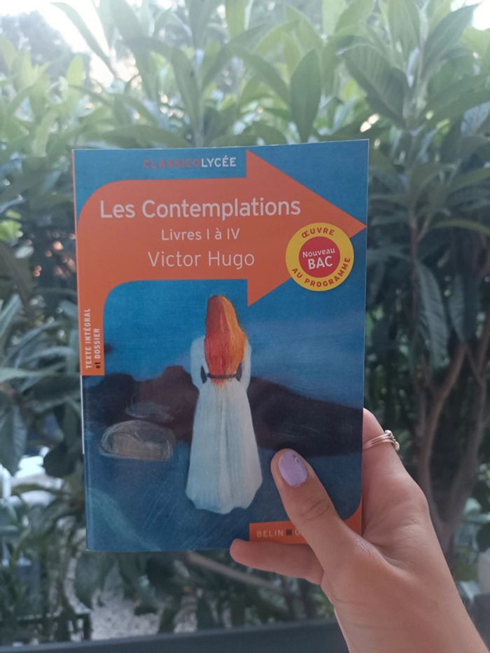 Les contemplations de Victor Hugo - photo numéro 2