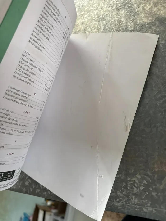 Livre mon brevet facile pour s’entraîner par étape, dicté troisième - photo numéro 4