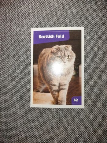 Autocollant nos amies les bêtes