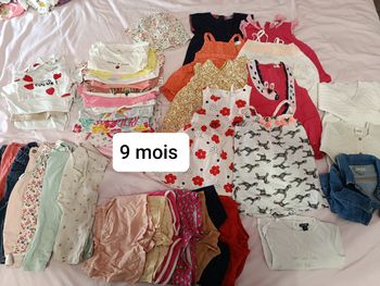 Lot n°2 - 9 mois 