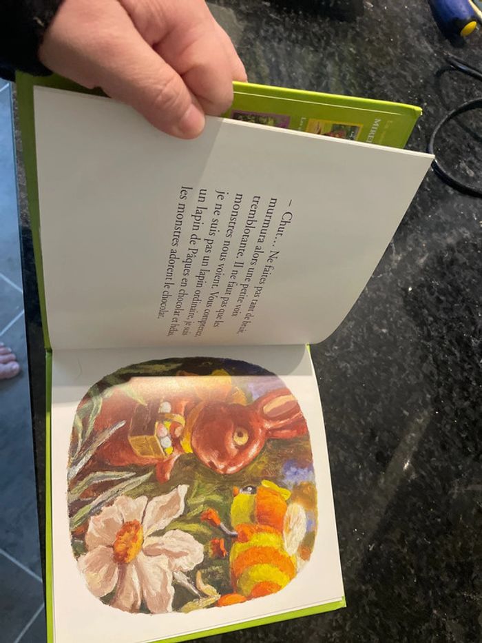 Adrien le lapin livre 📕 - photo numéro 5