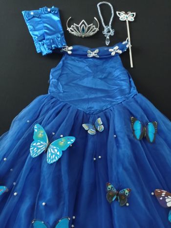 Déguisement robe bleu marine papillon et accessoires 5-6ans
