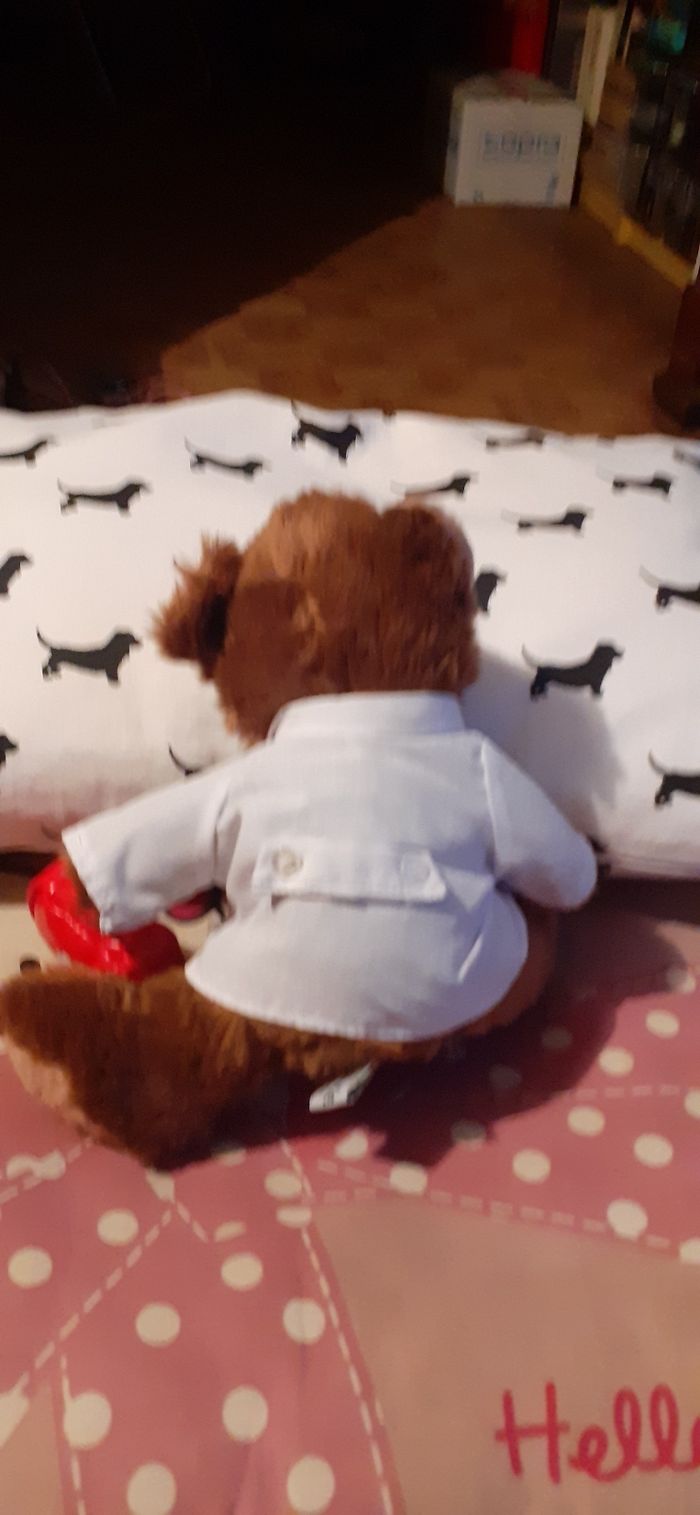 Ourson habille - photo numéro 2