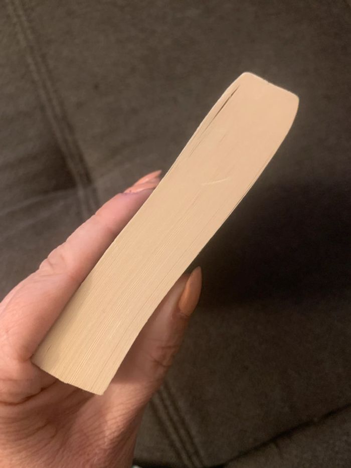 Livre le murmure du vent  Karen Viggers - photo numéro 3