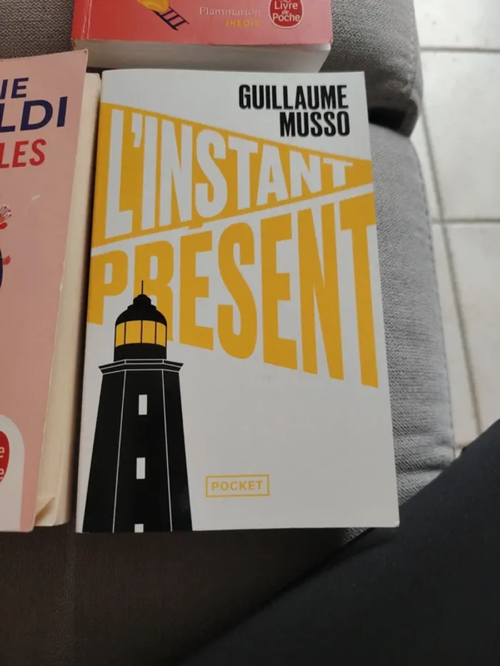 Lot 3 livres de poche - photo numéro 2