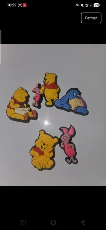 Pin’s Crocs Winnie