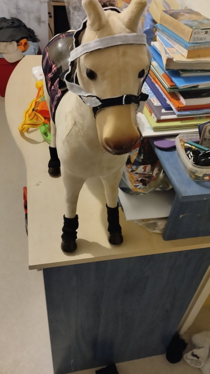 Cheval enfant - photo numéro 2