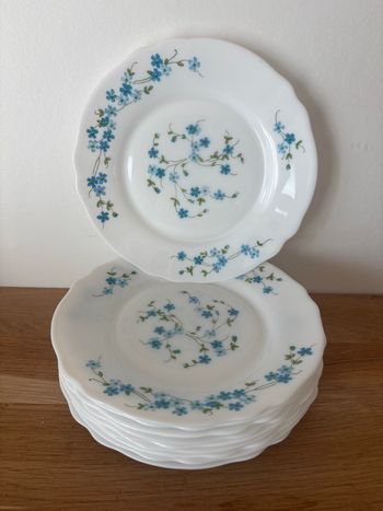 Vintage lot de 10 assiettes à dessert Arcopal véronica myosotis 