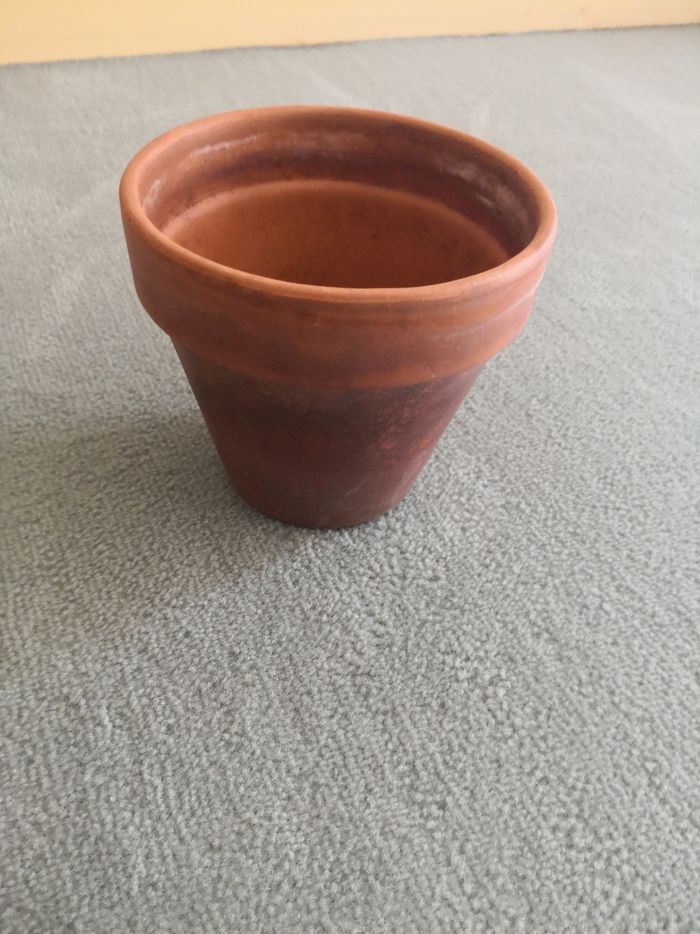 1 pot de fleurs