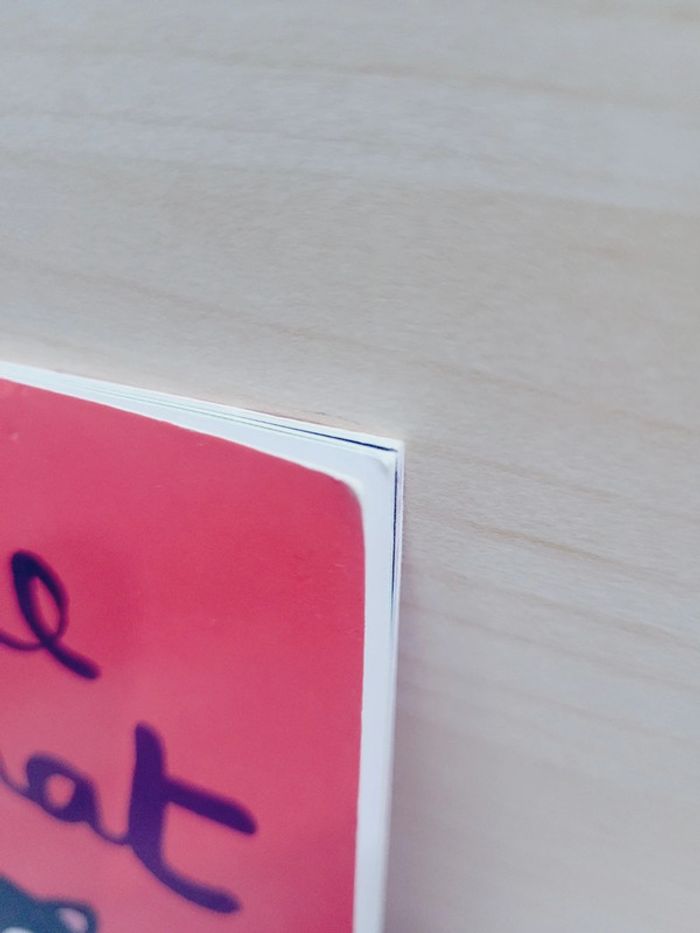 🌺 Livre (école des loisirs) : La tache du chat - photo numéro 7