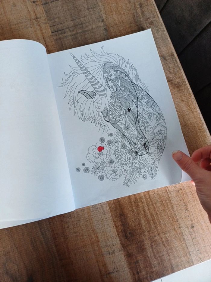 Libre de coloriage Licorne mandala et autres. - photo numéro 5