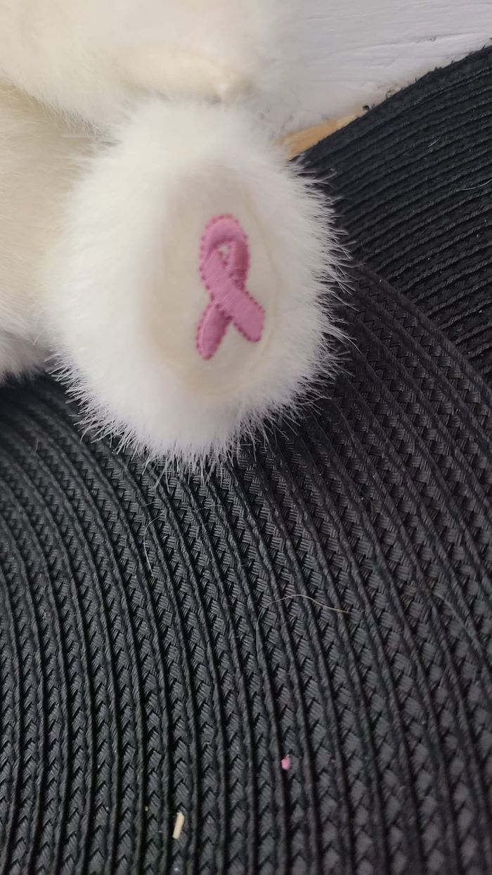 Peluche Doudou The Boyds Collection Ours Bears Blanc / Rose Articulée Limited - photo numéro 2