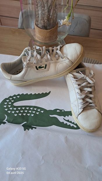 Basket lacoste 42