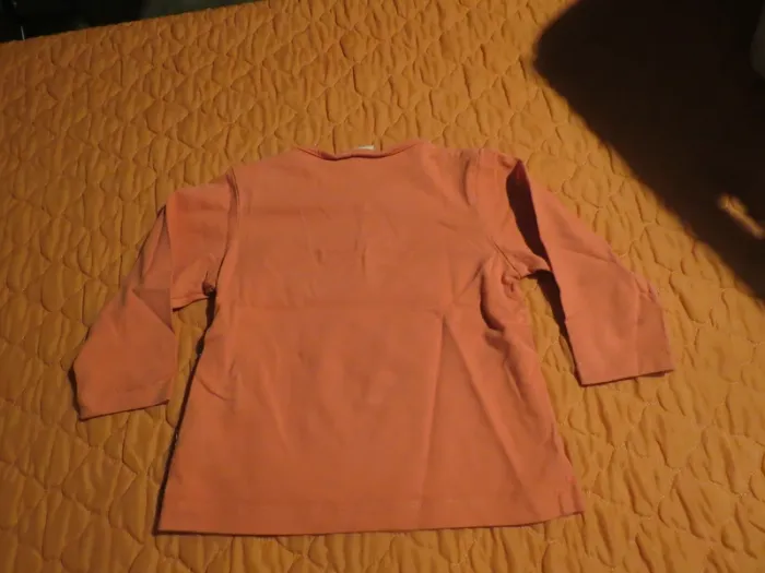 T-shirt taille  18 mois garçon - photo numéro 3