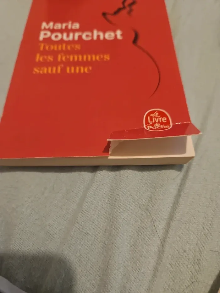 📕 Livre Toutes les femmes sauf une - photo numéro 3