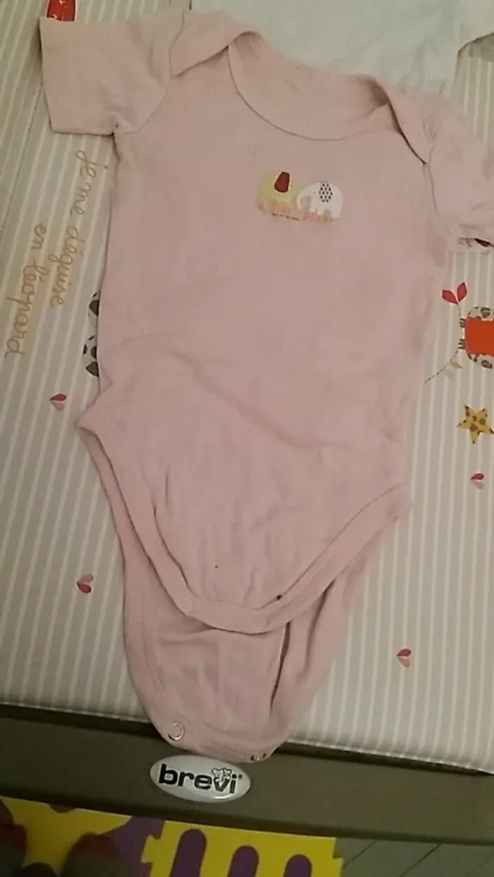Lot de 4 bodys manches courtes 6 mois - photo numéro 5