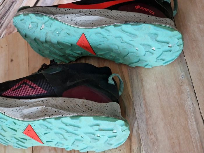 Baskets Pegasus Trail 3 GTX homme 42 - photo numéro 8