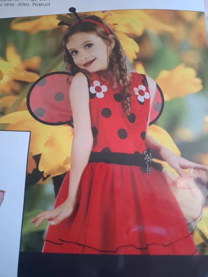Robe Déguisement coccinelle