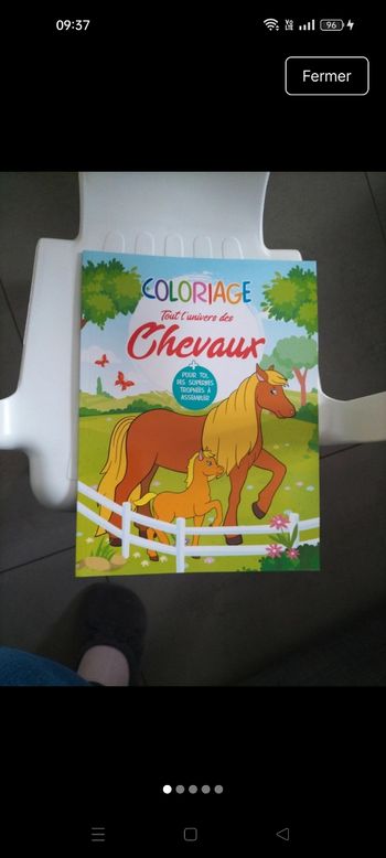 Coloriage cheveaux 