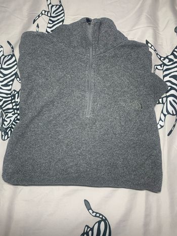 Polaire the north face