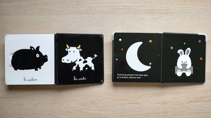 Lot de 2 livres Noir & blanc - photo numéro 3