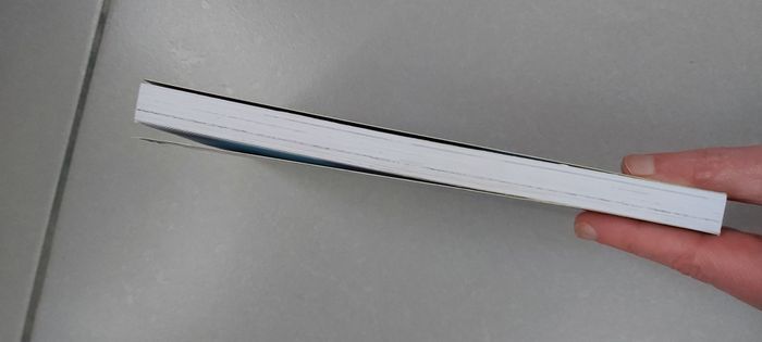 Dragons - photo numéro 4