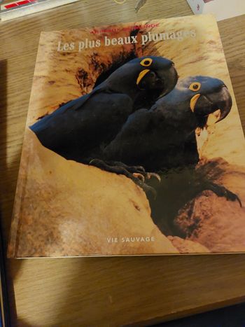 Livre  les plus beaux plumages  animaux du monde 