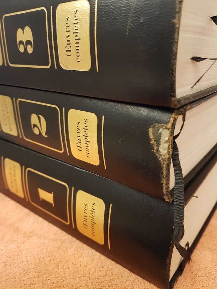 Charles  Baudelaire - photo numéro 8