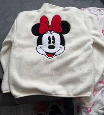 Polaire Minnie Disneyland Paris