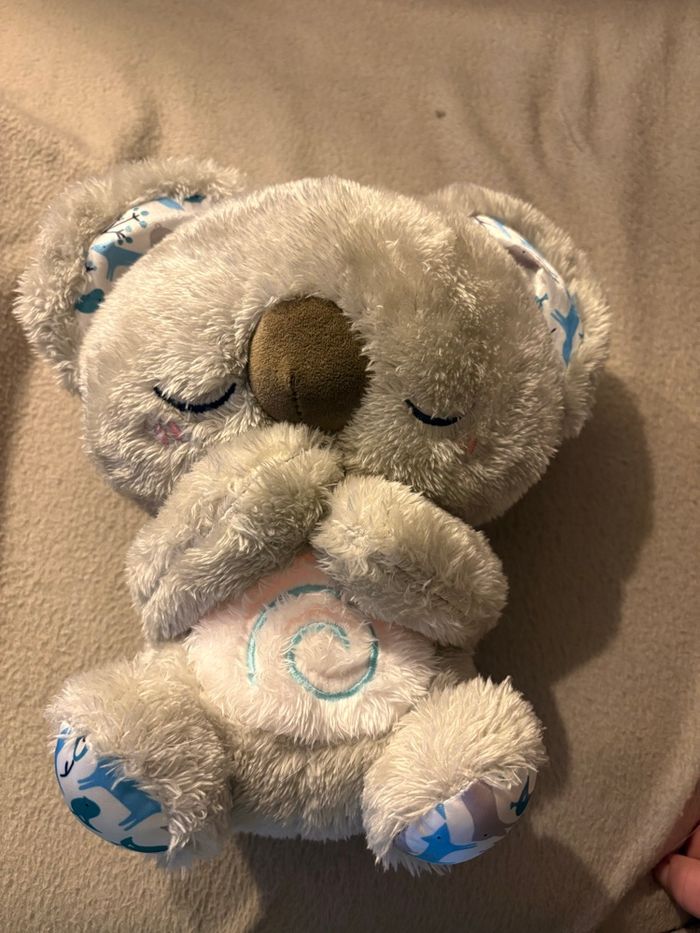 Koala Cali dodo - photo numéro 2