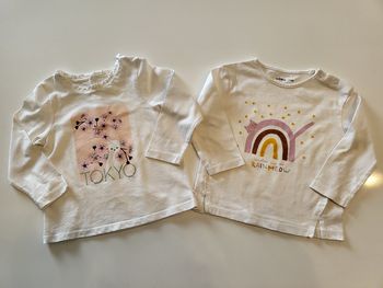 Lot 2 tee-shirts manches longues 18 mois