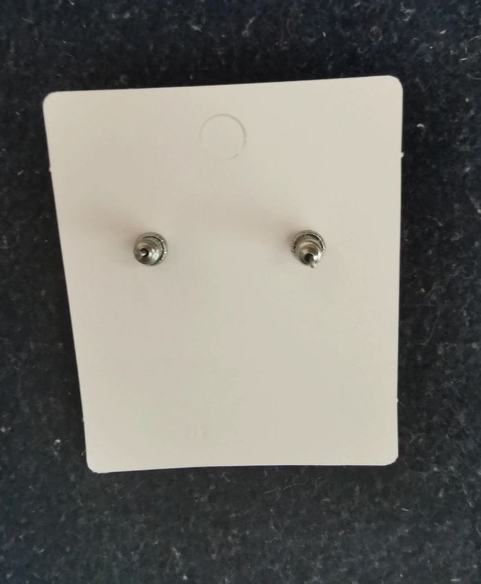 Puces d'oreilles grises - photo numéro 3