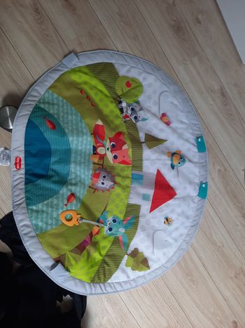 Tapis d éveil de Tiny love