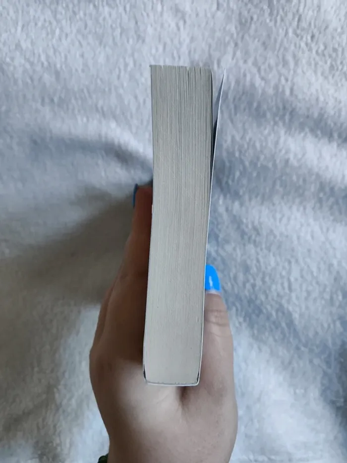 Livre "Havenfall" - photo numéro 3