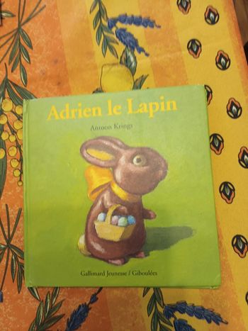 Livre Adrien le lapin