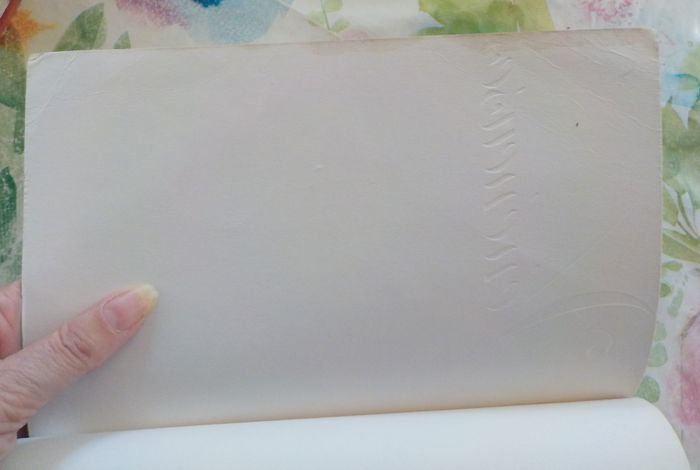 VENENEUSES de Anna GODBERSEN Ed. France Loisirs - photo numéro 6