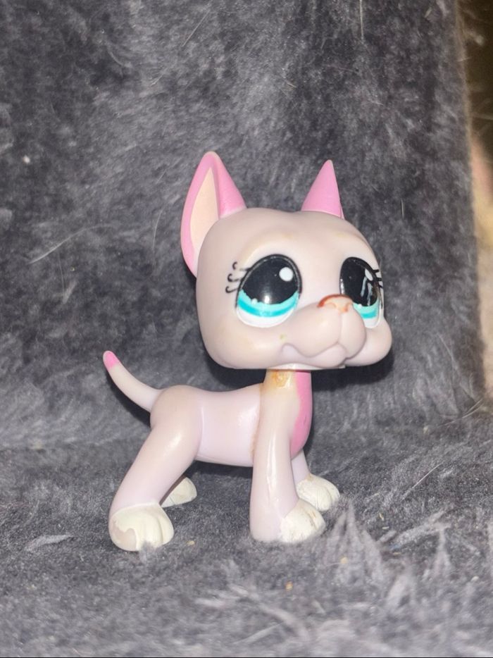 lot danois #1022 & #184 - photo numéro 5