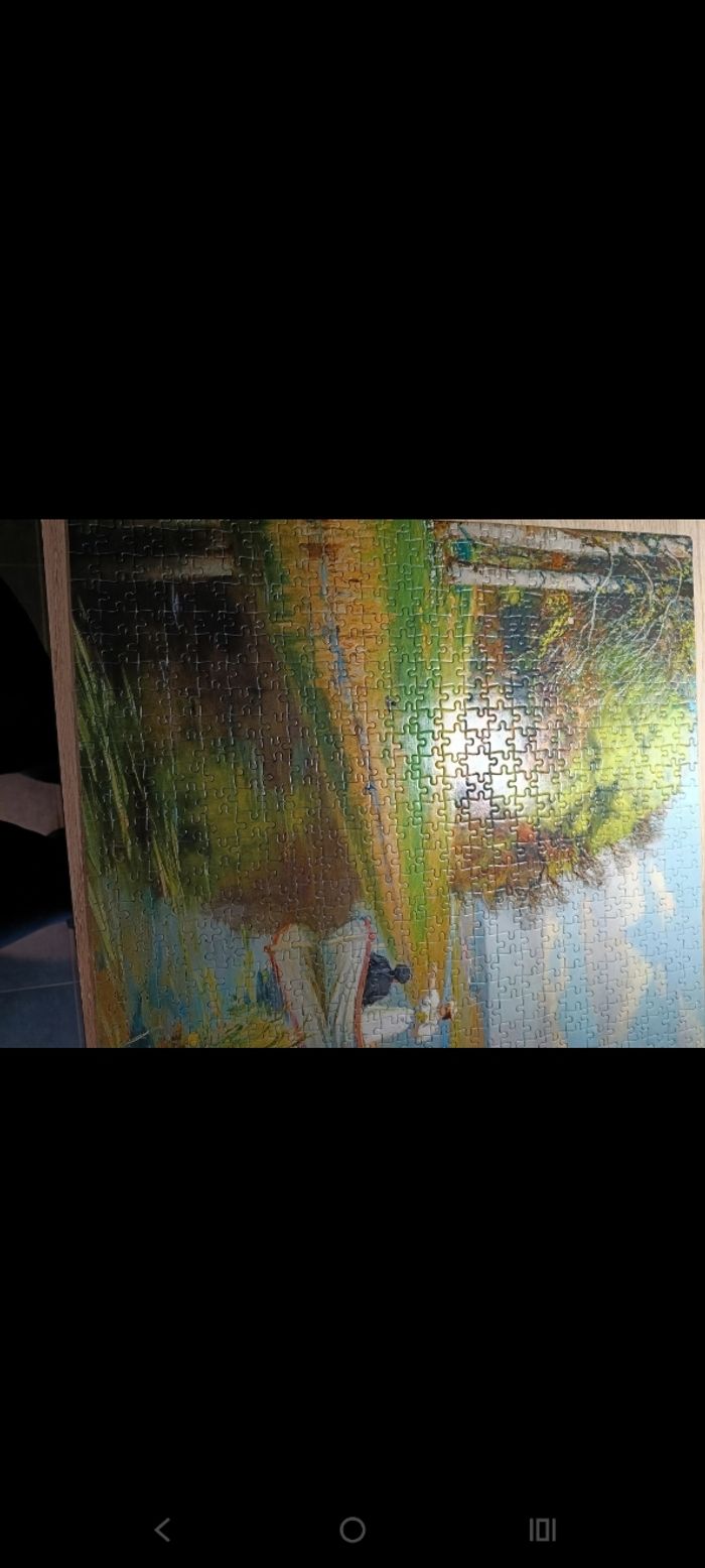 Puzzle - photo numéro 3