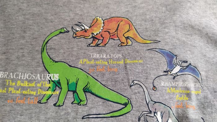 Tee-shirt neuf dinosaures 12 ans - photo numéro 4